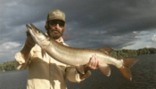 click here to check out Wayne Pellet's 40 inch musky