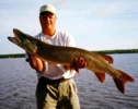 click here to check out another Jason Long LOTW musky
