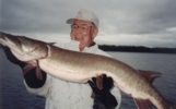 click here to check out Lunker Lou Eich's 46.5 inch musky