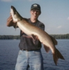 click here to check out Len Martin's 41 inch August 2001 Big Chip topwater musky